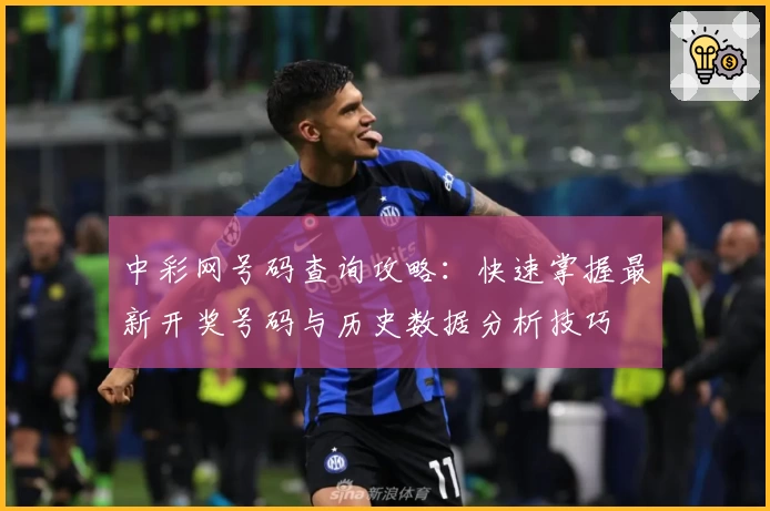 中彩网号码查询攻略：快速掌握最新开奖号码与历史数据分析技巧
