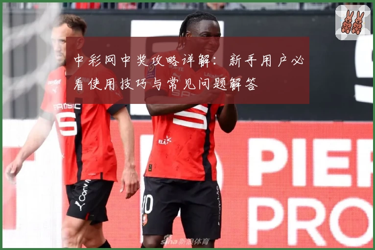 中彩网中奖攻略详解：新手用户必看使用技巧与常见问题解答