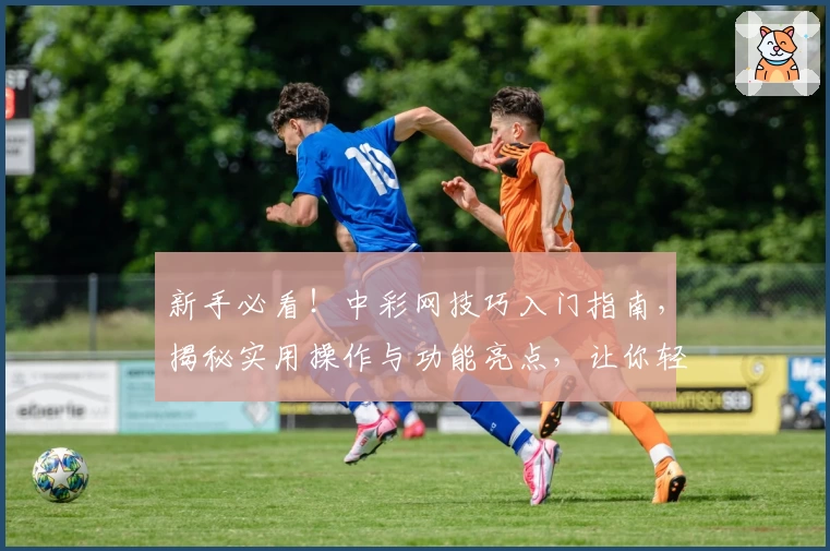 新手必看！中彩网技巧入门指南，揭秘实用操作与功能亮点，让你轻松上手