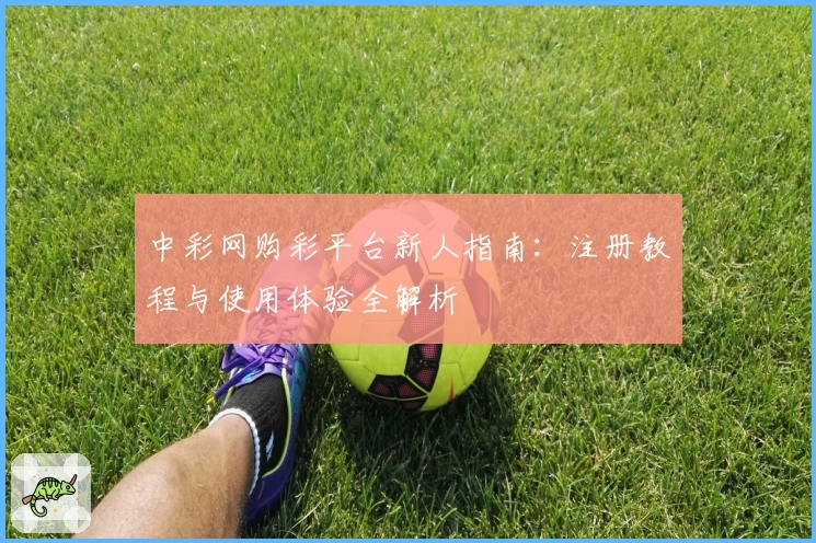 中彩网购彩平台新人指南：注册教程与使用体验全解析