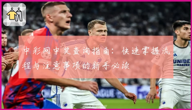 中彩网中奖查询指南：快速掌握流程与注意事项的新手必读