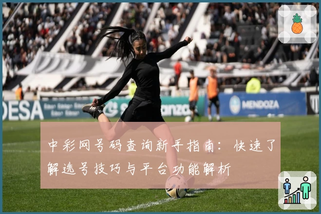 中彩网号码查询新手指南：快速了解选号技巧与平台功能解析