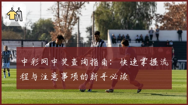 中彩网中奖查询指南：快速掌握流程与注意事项的新手必读