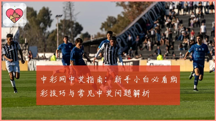 中彩网中奖指南：新手小白必看购彩技巧与常见中奖问题解析